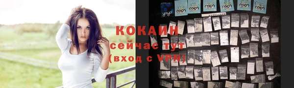 спайс Богородицк