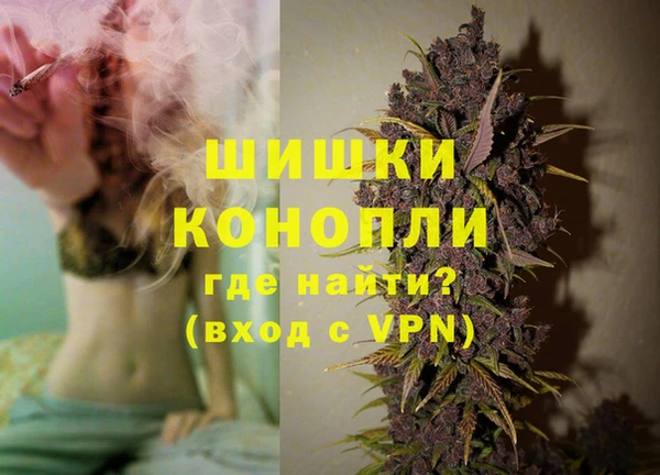 стаф Бежецк