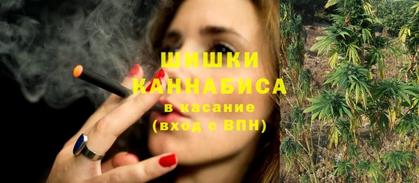 ECSTASY Белокуриха