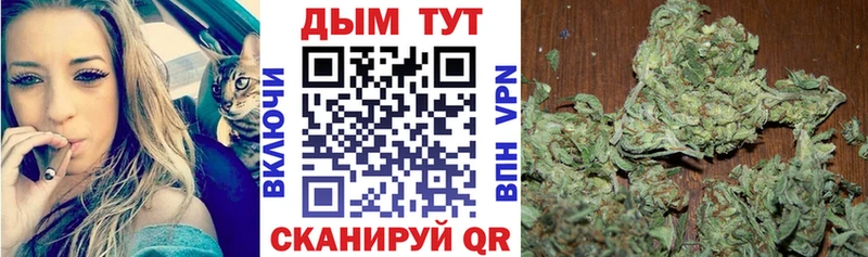 Конопля MAZAR  кракен как войти  Болохово 
